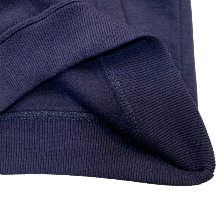 JORDAN Blue Fleece Hoodie